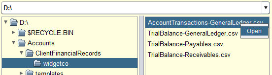 Export File Open Demonstration