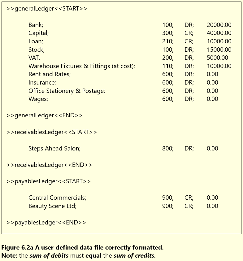 User Defined Ledger File Content